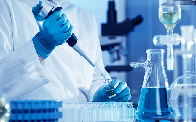 ����ʵ����